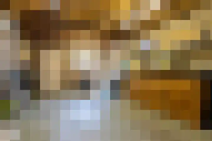 Buurtweg 70 Halsteren thumbnail 47
