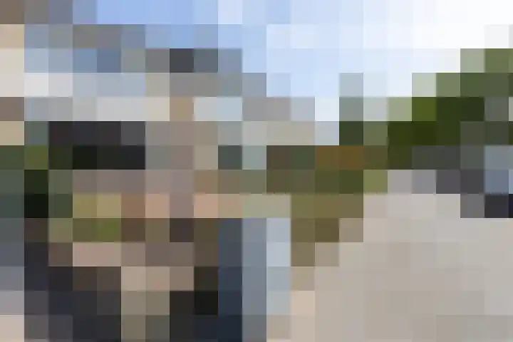 Buurtweg 70 Halsteren thumbnail 51