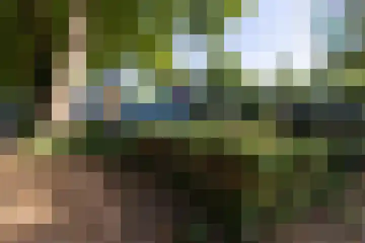 Buurtweg 70 Halsteren thumbnail 57