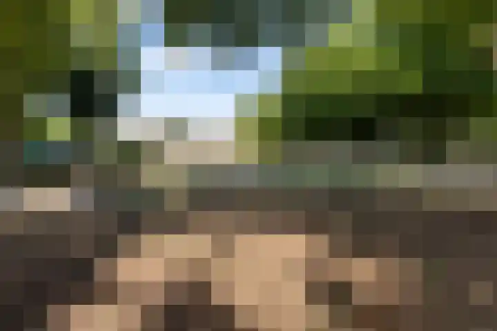 Buurtweg 70 Halsteren thumbnail 59