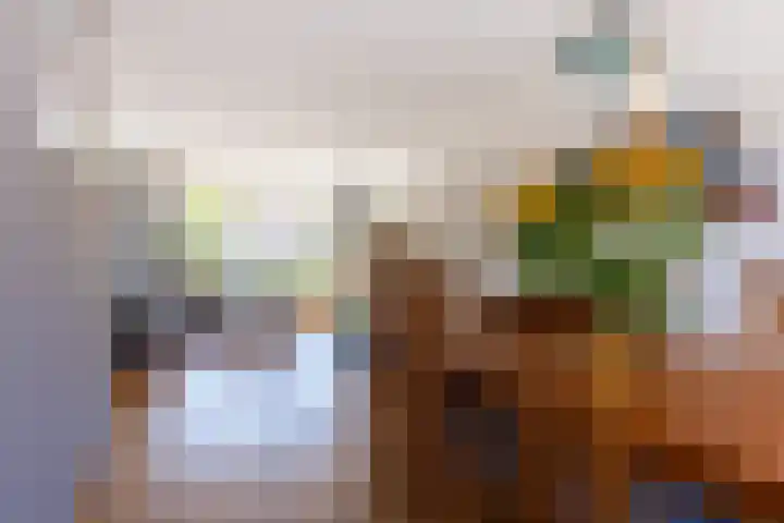 Buurtweg 70 Halsteren thumbnail 6