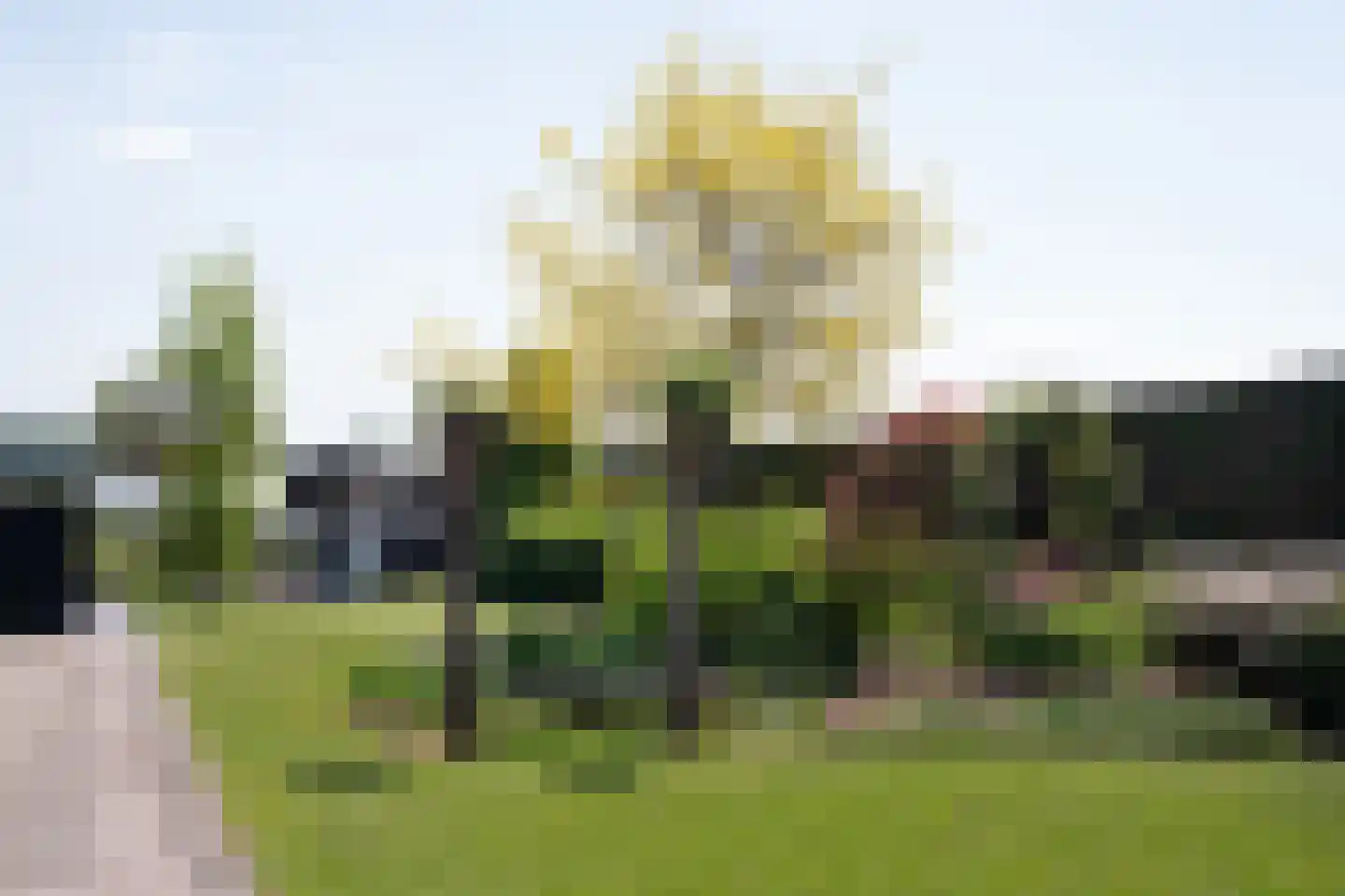 Buurtweg 8 a Stavenisse thumbnail 25