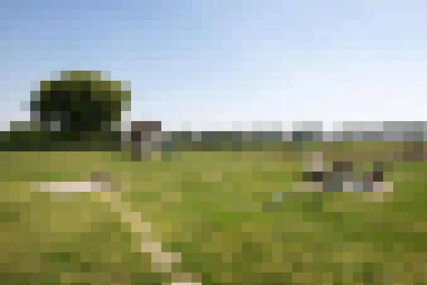 Buurtweg 8 a Stavenisse thumbnail 29