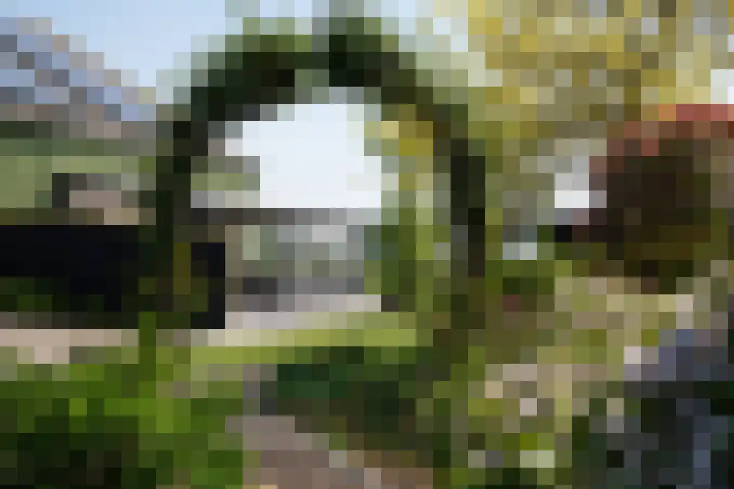 Buurtweg 8 a Stavenisse thumbnail 32
