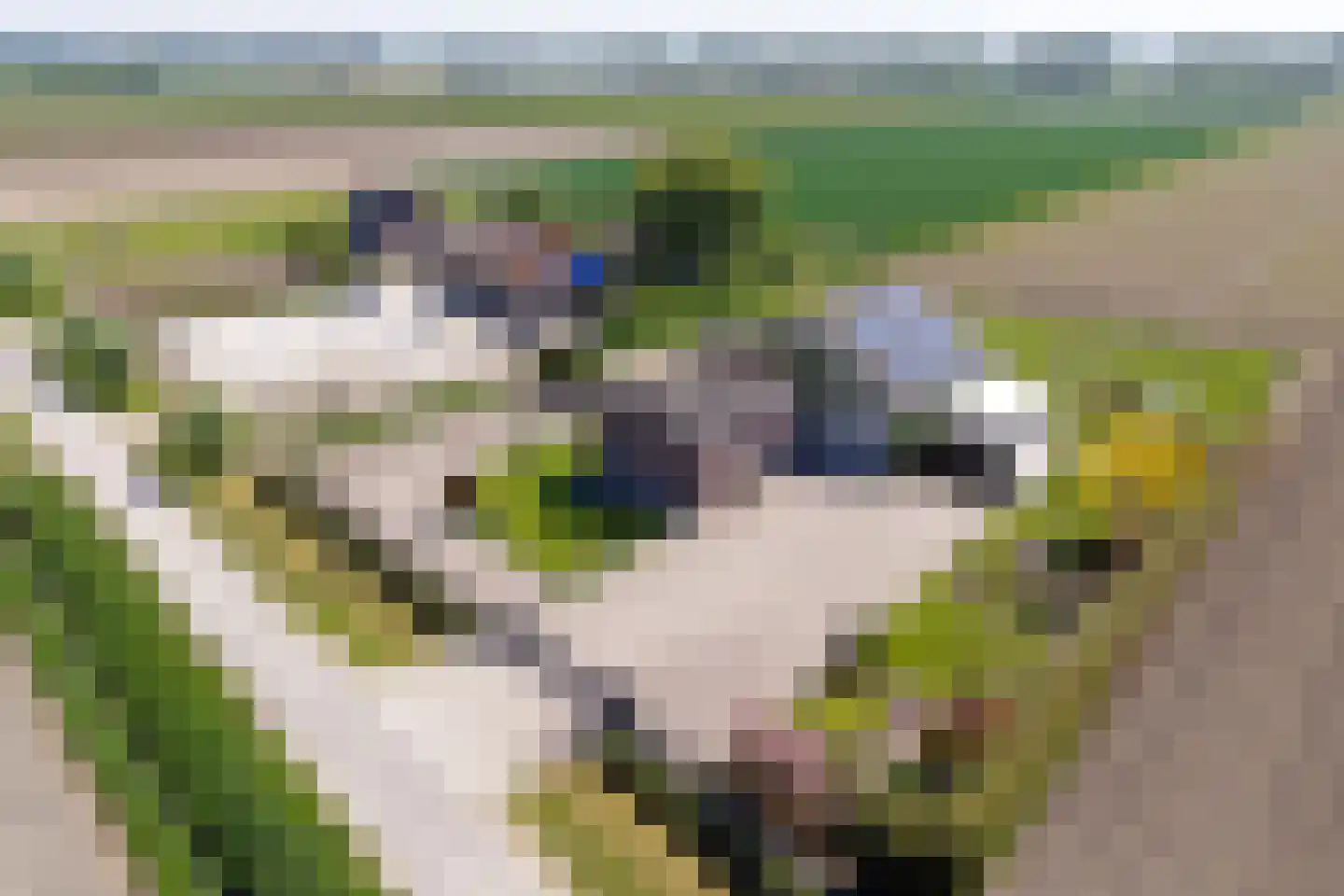 Buurtweg 8 a Stavenisse thumbnail 39