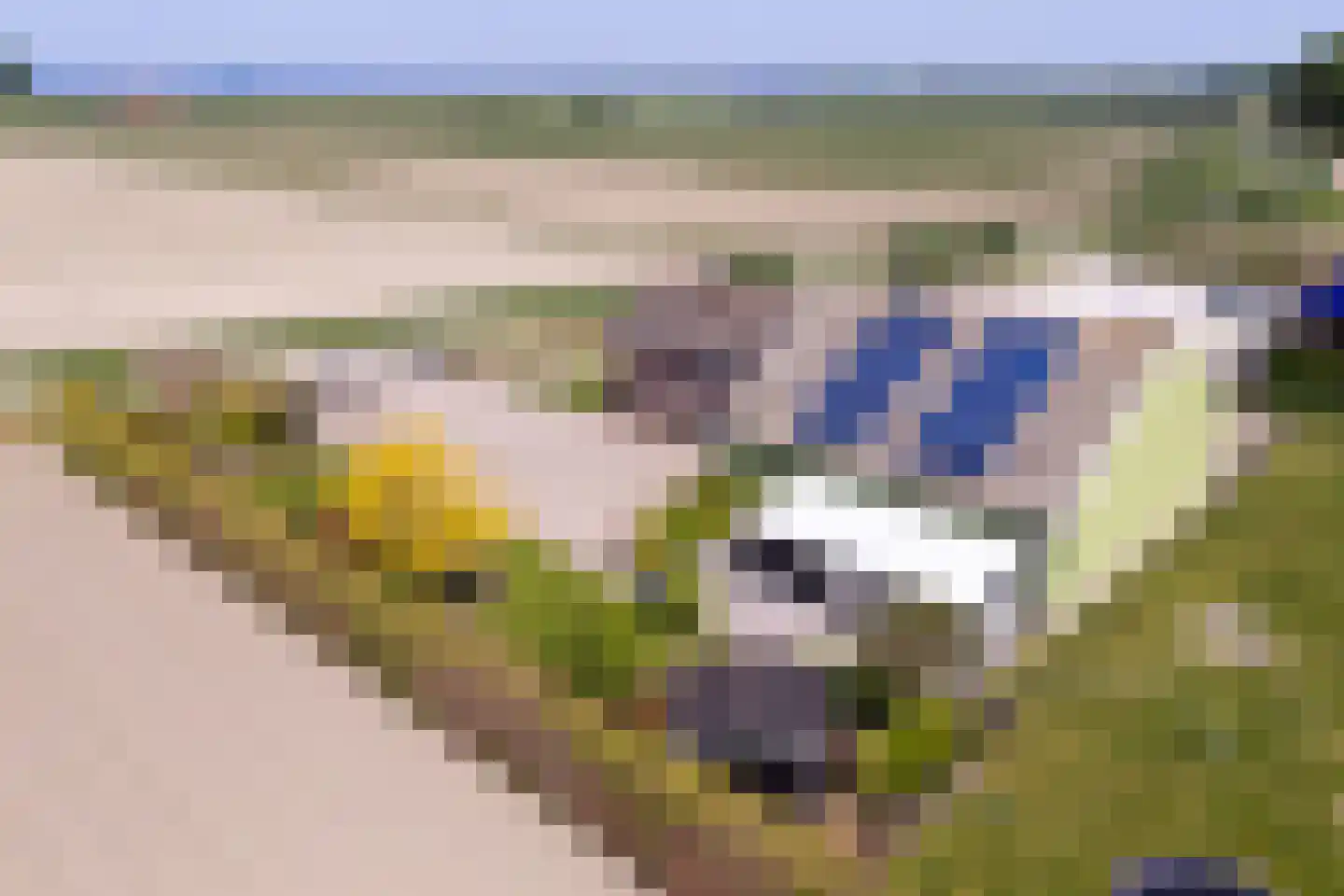Buurtweg 8 a Stavenisse thumbnail 41