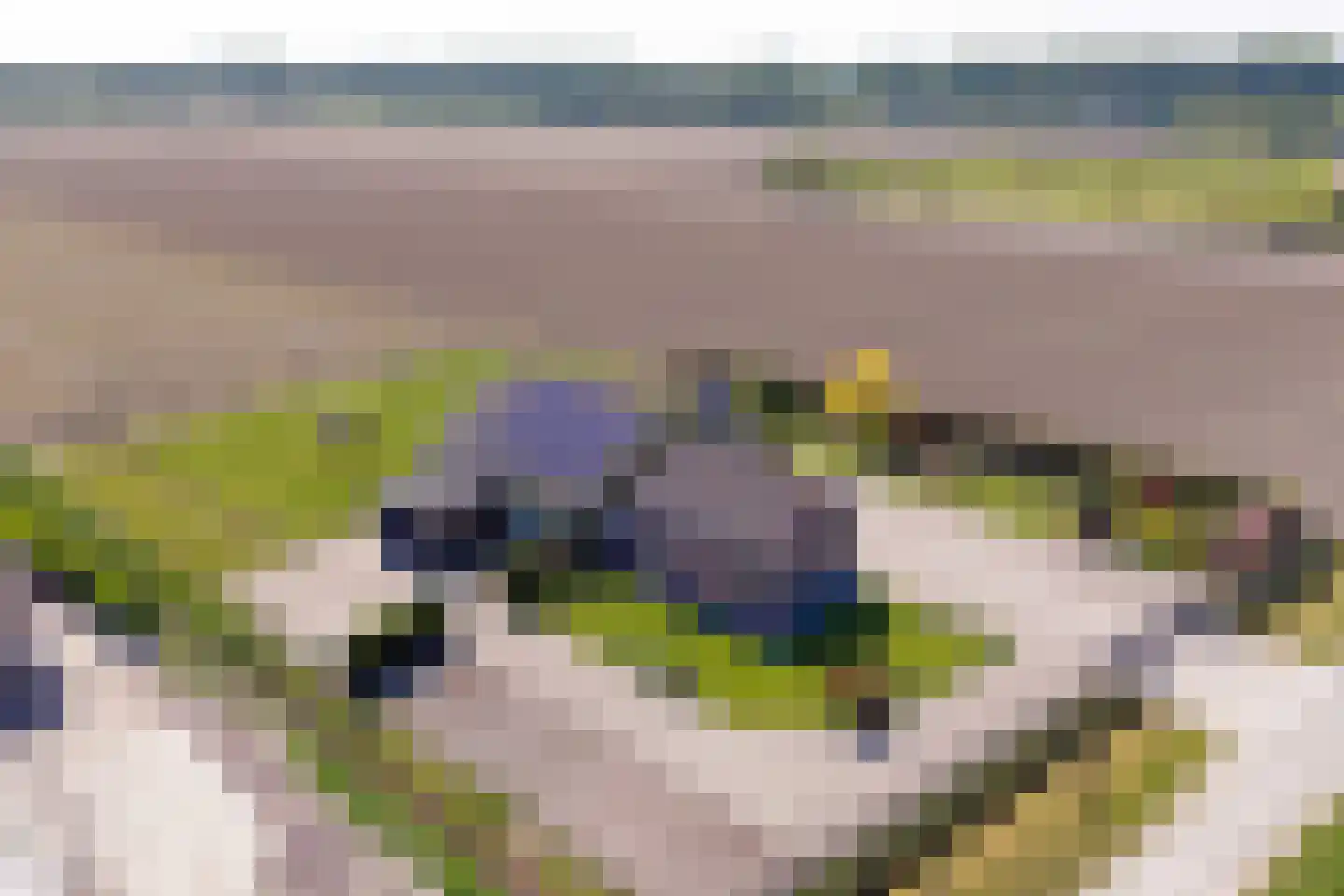 Buurtweg 8 a Stavenisse thumbnail 42
