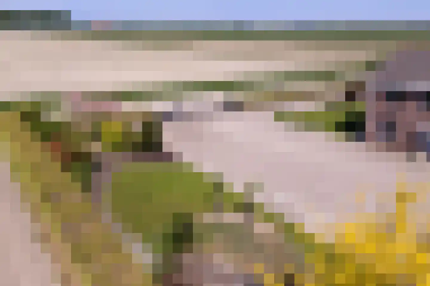 Buurtweg 8 a Stavenisse thumbnail 44