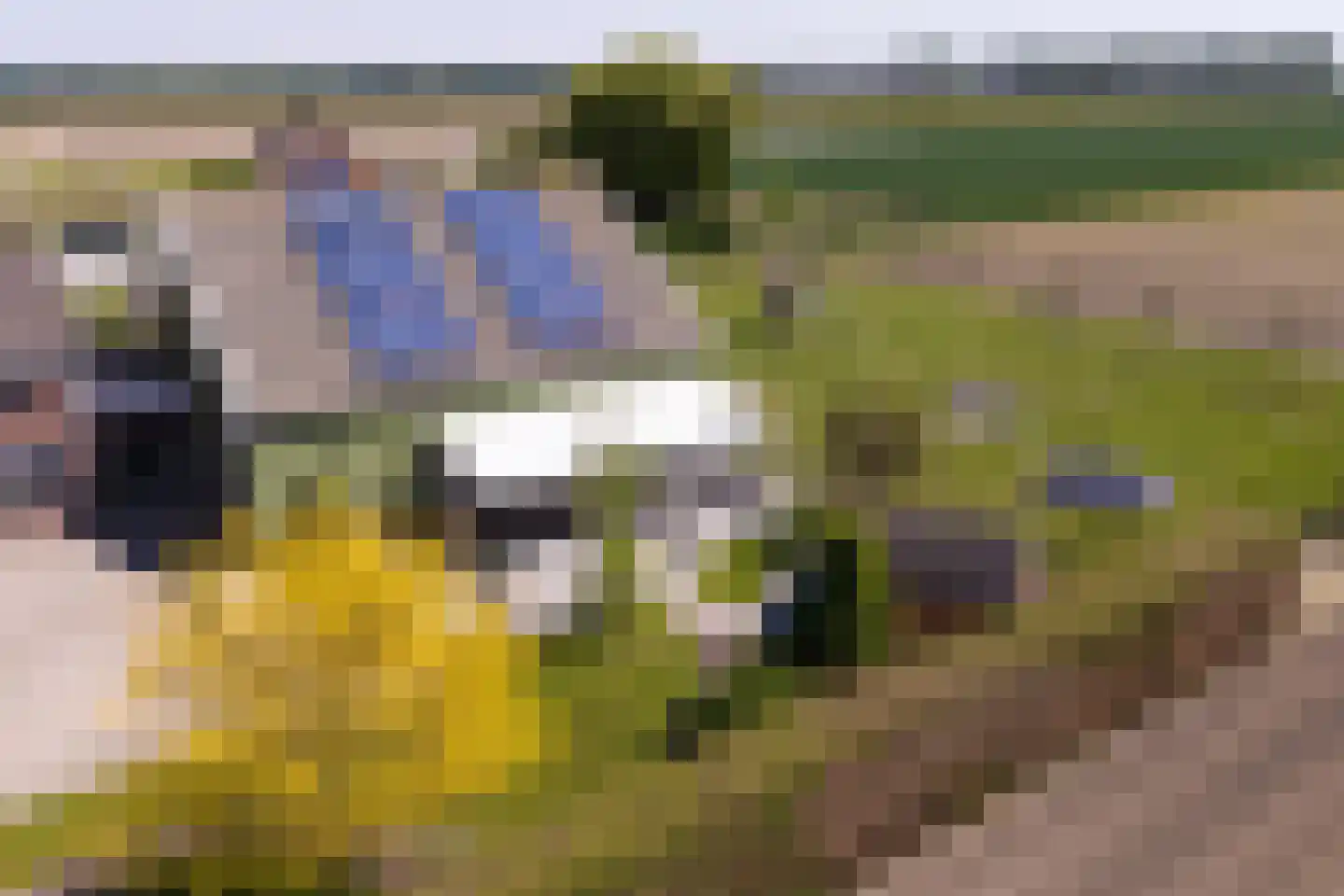 Buurtweg 8 a Stavenisse thumbnail 45