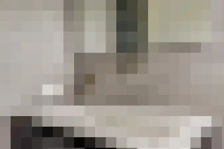Buurtweg 8 Ermelo thumbnail 35