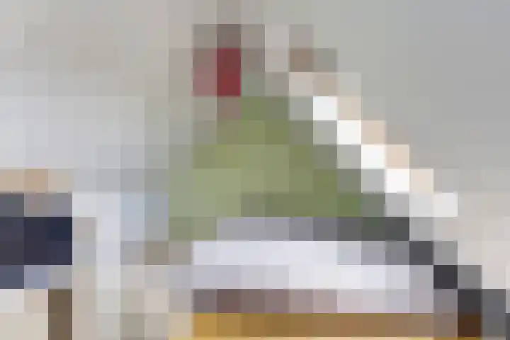 Buurtweg 8 Ermelo thumbnail 39