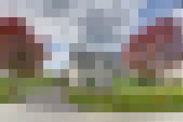 Buurtweg 8 Ermelo thumbnail 49