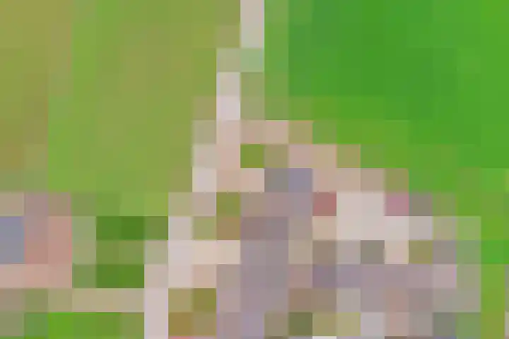 Buurtweg 8 Ermelo thumbnail 52