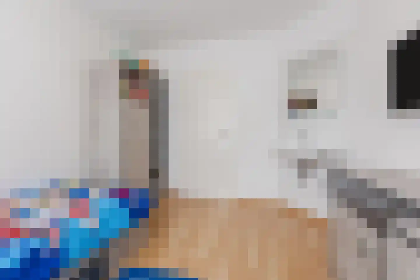 Buurtweg 80 Halsteren thumbnail 18