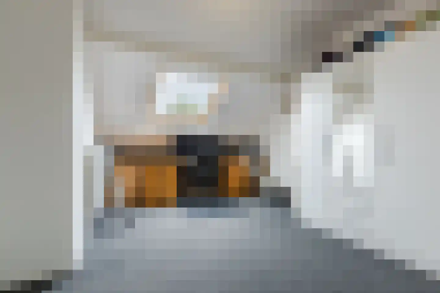 Buurtweg 80 Halsteren thumbnail 27