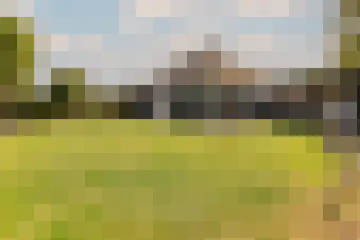 Buurtweg 99 Stavenisse thumbnail 29