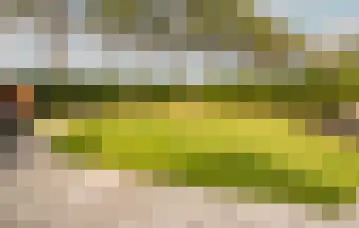 Buurtweg 99 Stavenisse thumbnail 30