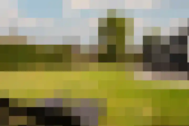 Buurtweg 99 Stavenisse thumbnail 31
