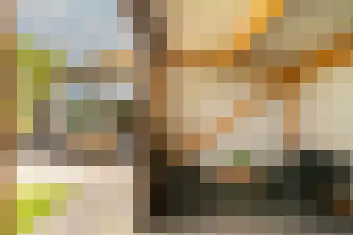 Buurtweg 99 Stavenisse thumbnail 34