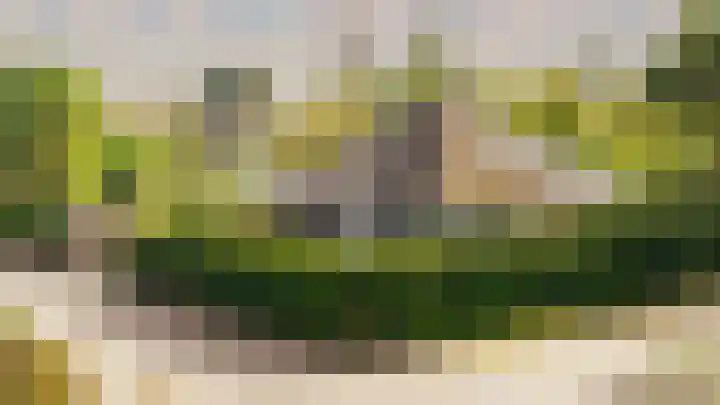 Buurtweg 99 Stavenisse thumbnail 38