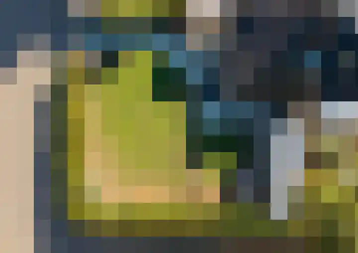 Buurtweg 99 Stavenisse thumbnail 39