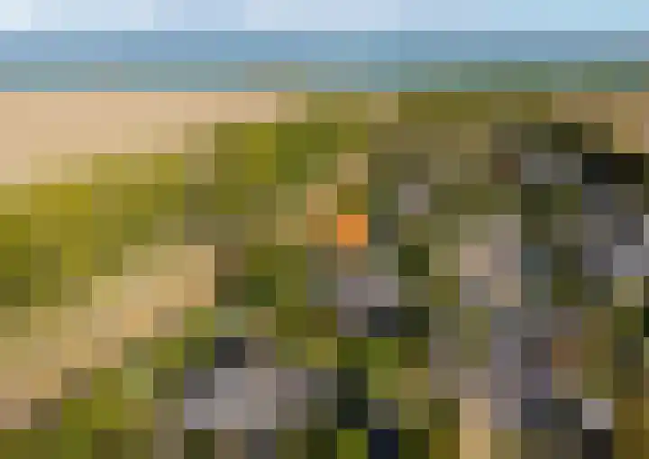 Buurtweg 99 Stavenisse thumbnail 4