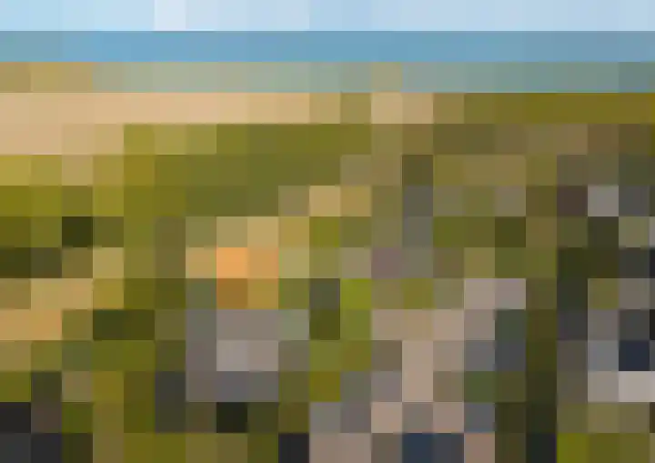 Buurtweg 99 Stavenisse thumbnail 40