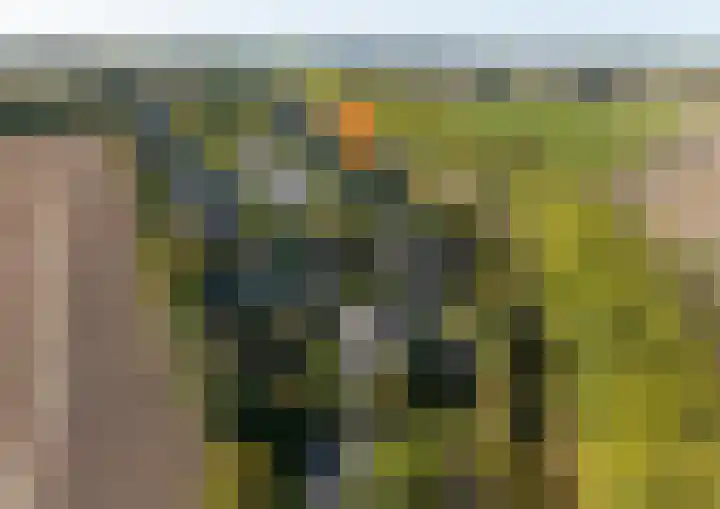 Buurtweg 99 Stavenisse thumbnail 42