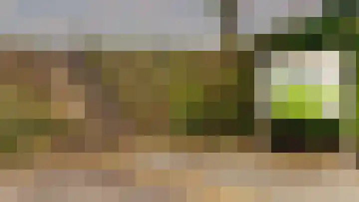 Buurtweg 99 Stavenisse thumbnail 43