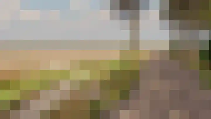 Buurtweg 99 Stavenisse thumbnail 44