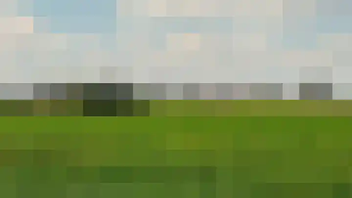 Buurtweg 99 Stavenisse thumbnail 45
