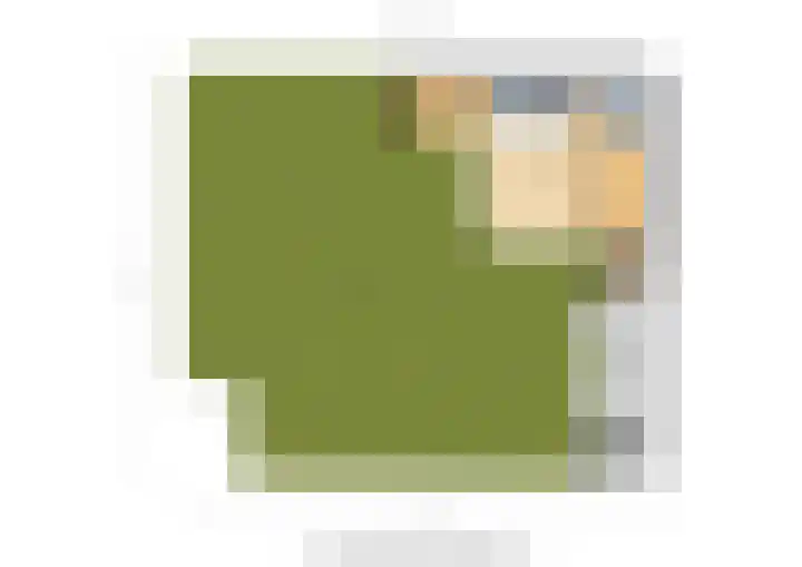 Buurtweg 99 Stavenisse thumbnail 50