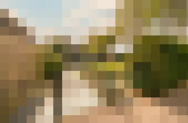 Buurtweg 99 Stavenisse thumbnail 6