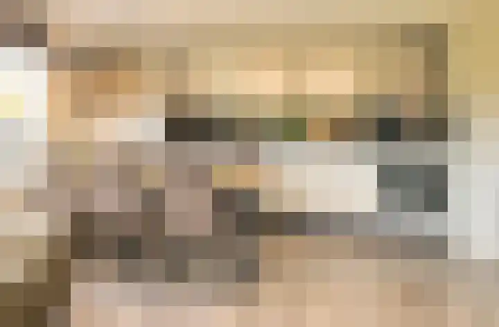 Buurtweg 99 Stavenisse thumbnail 8