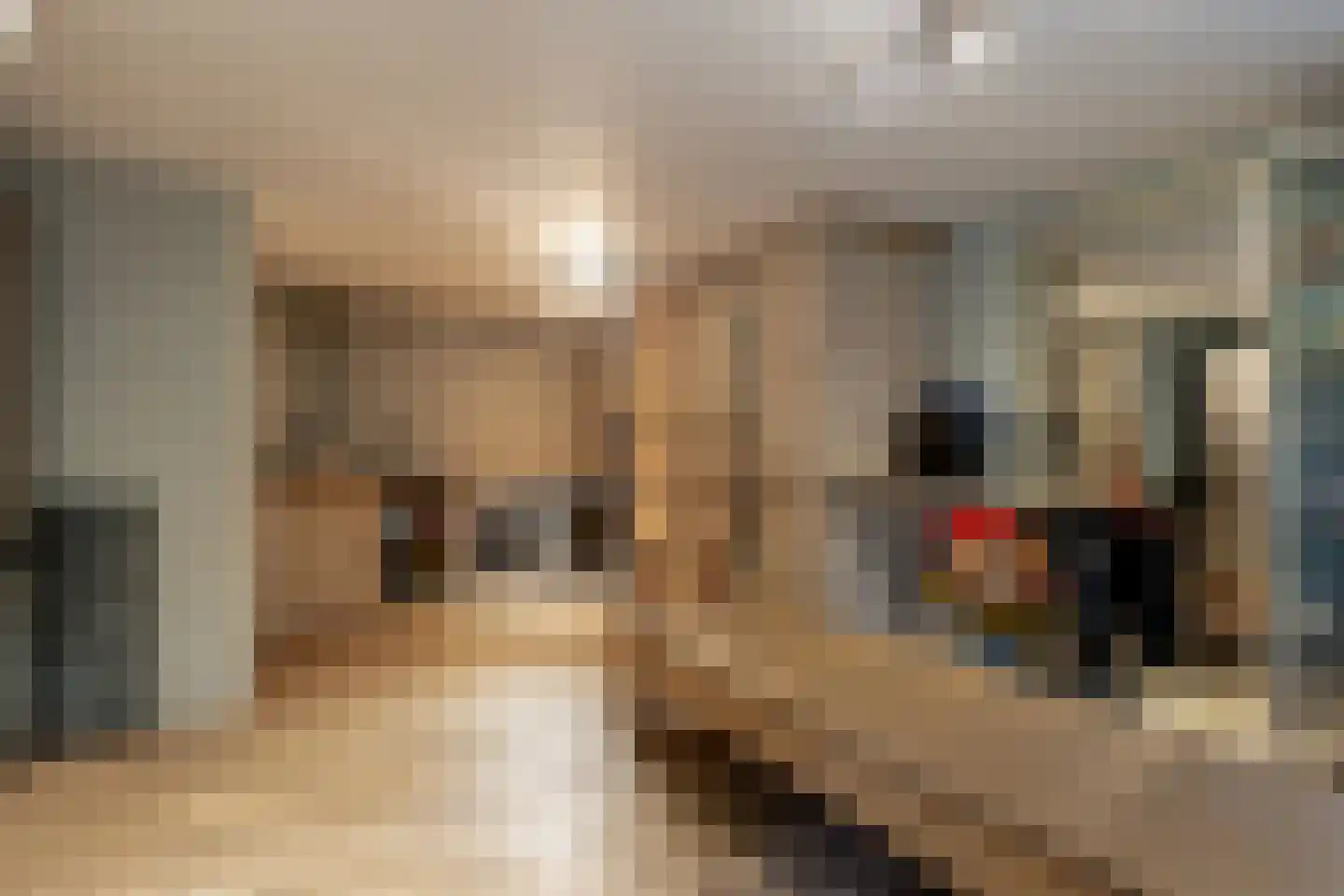 Buurtweg 99 Wassenaar thumbnail 31