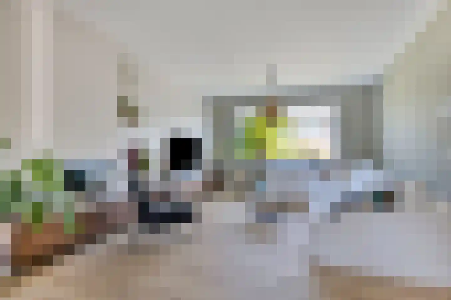 Buwitsacker 21 Castricum thumbnail 10