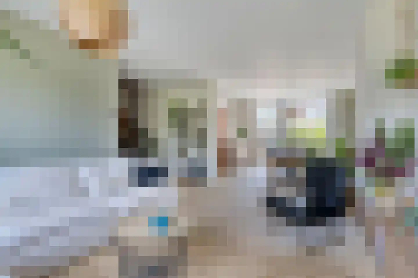 Buwitsacker 21 Castricum thumbnail 13