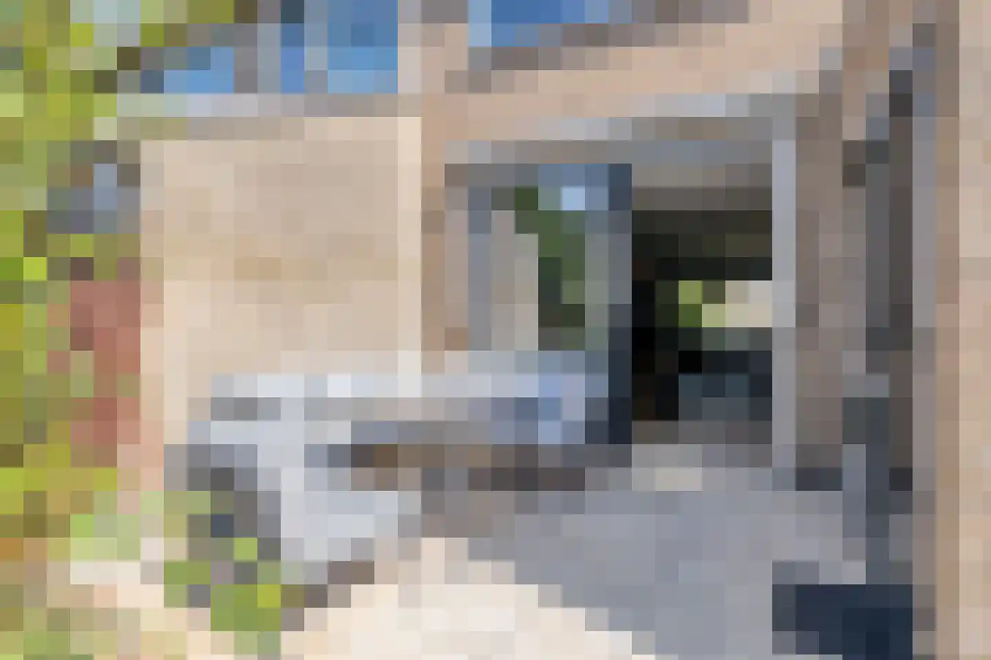 Buwitsacker 21 Castricum thumbnail 18