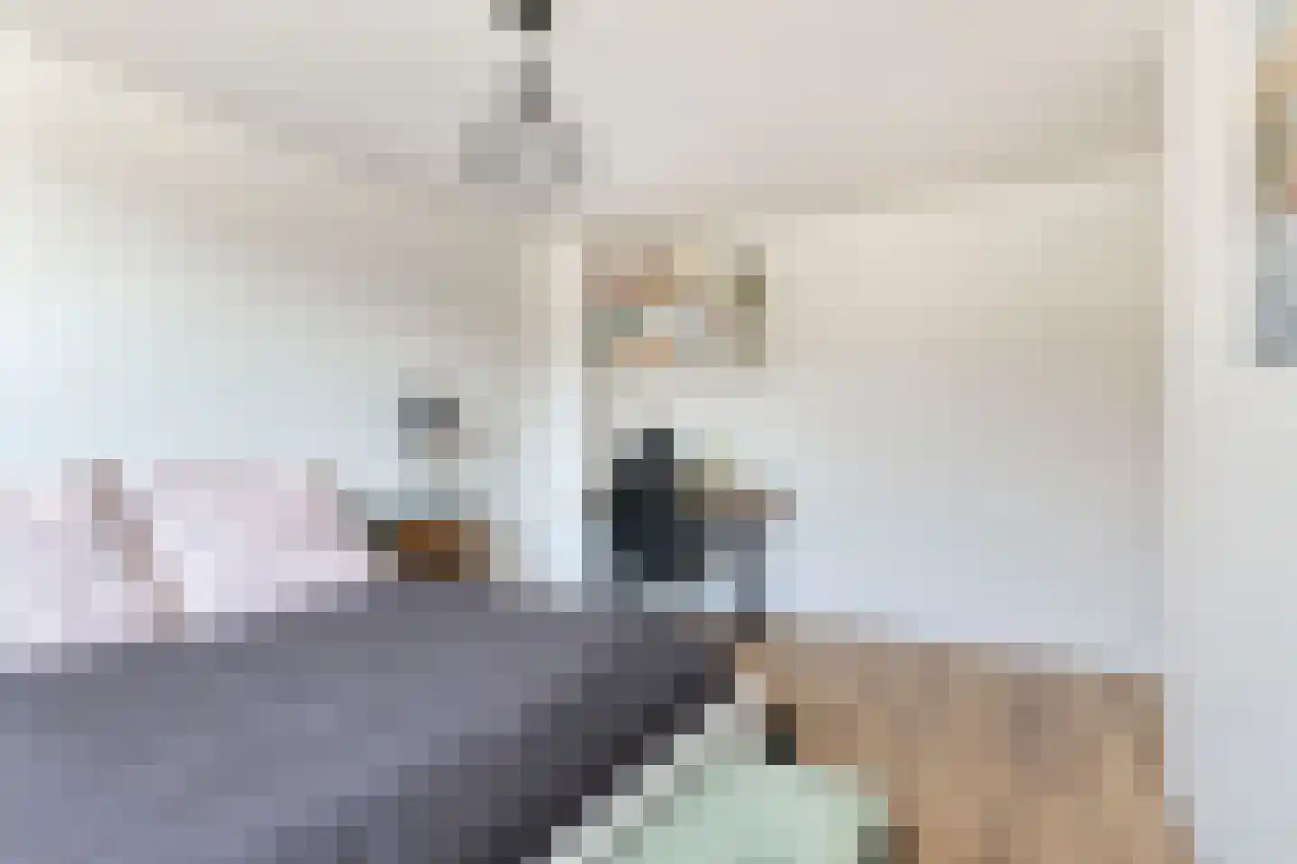 Buwitsacker 21 Castricum thumbnail 24