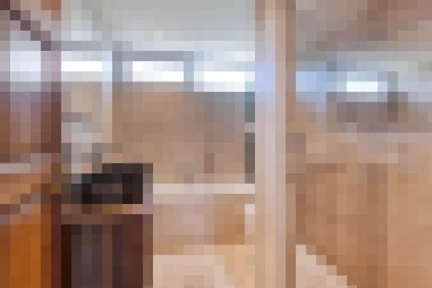 Buwitsacker 21 Castricum thumbnail 27