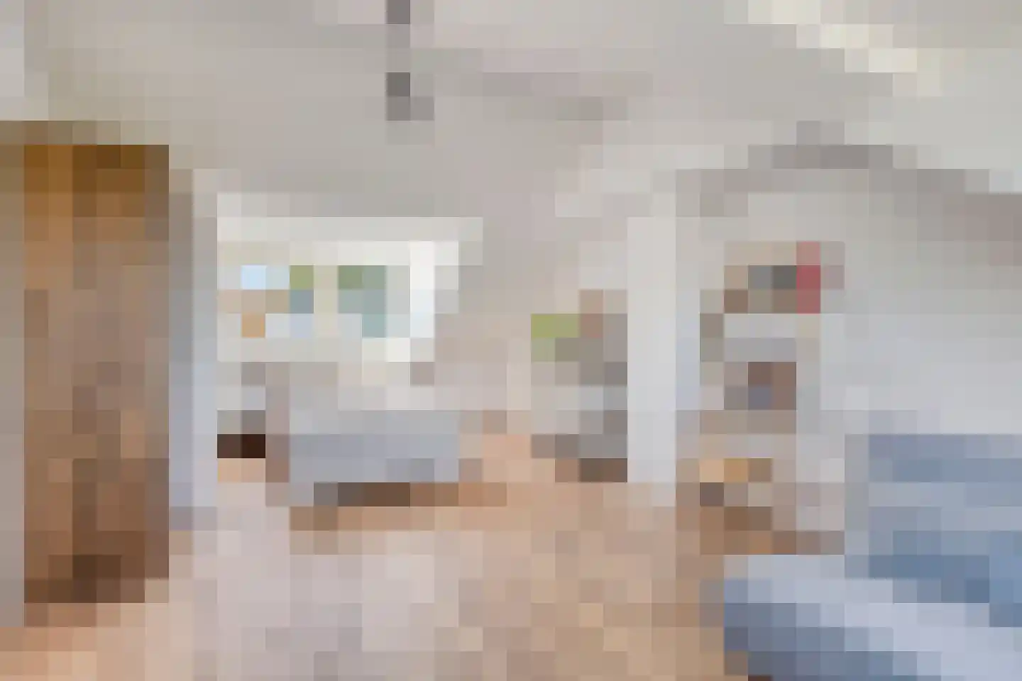 Buwitsacker 21 Castricum thumbnail 31