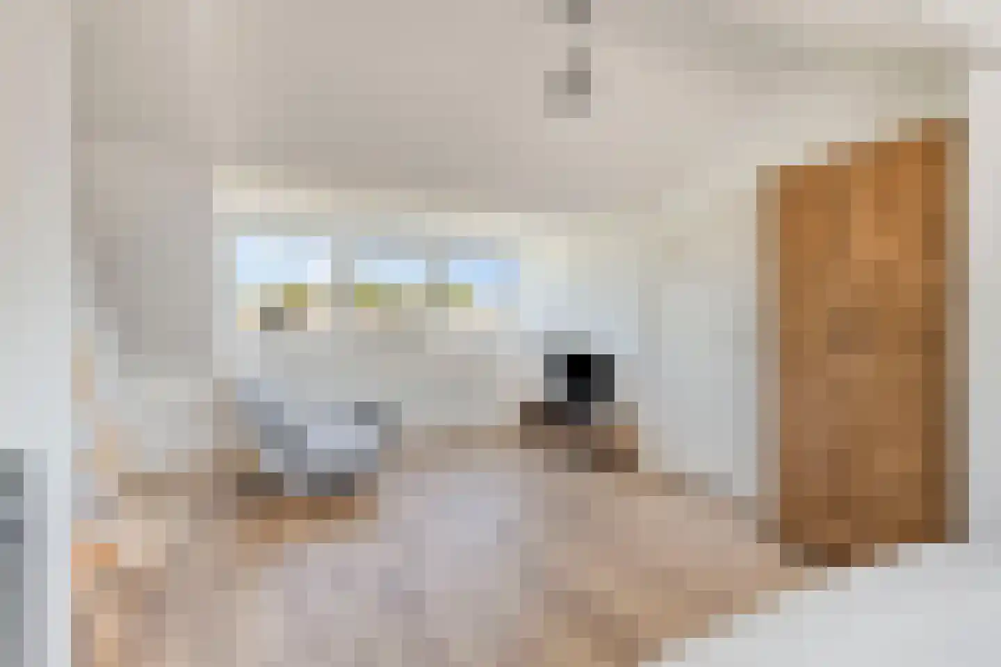 Buwitsacker 21 Castricum thumbnail 32