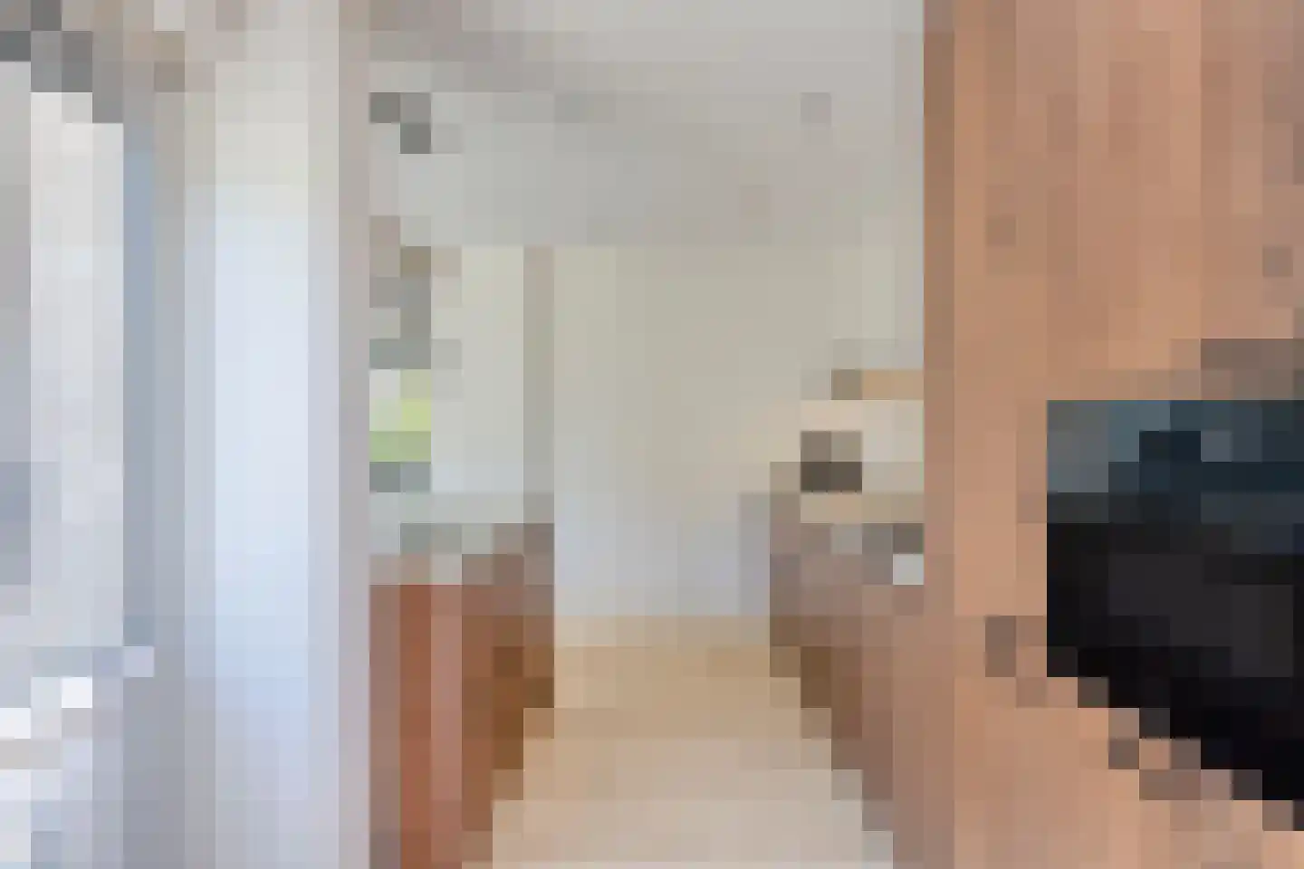 Buwitsacker 21 Castricum thumbnail 6