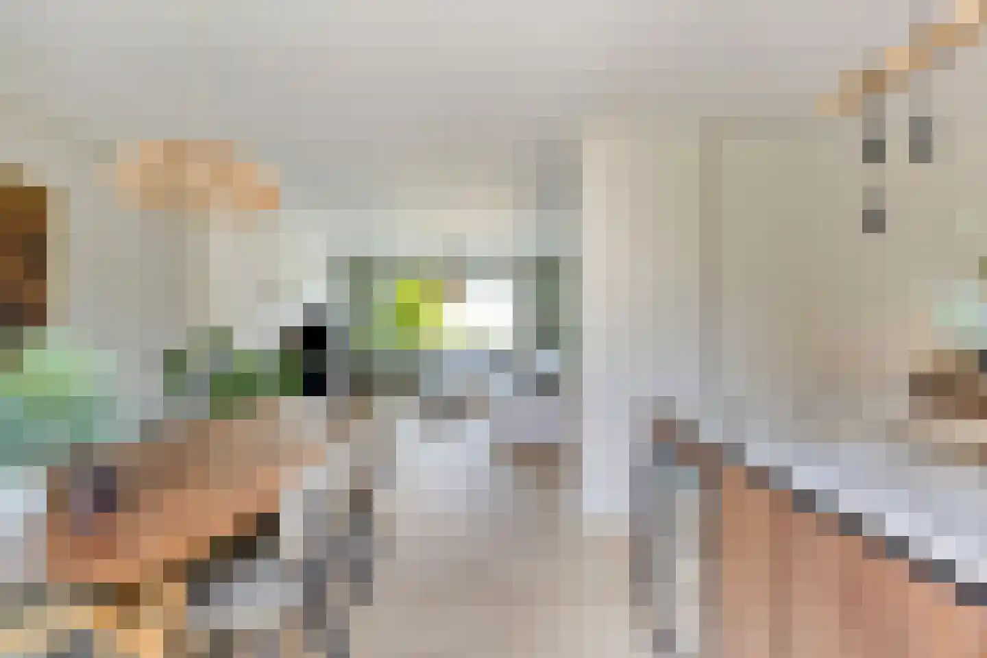Buwitsacker 21 Castricum thumbnail 8