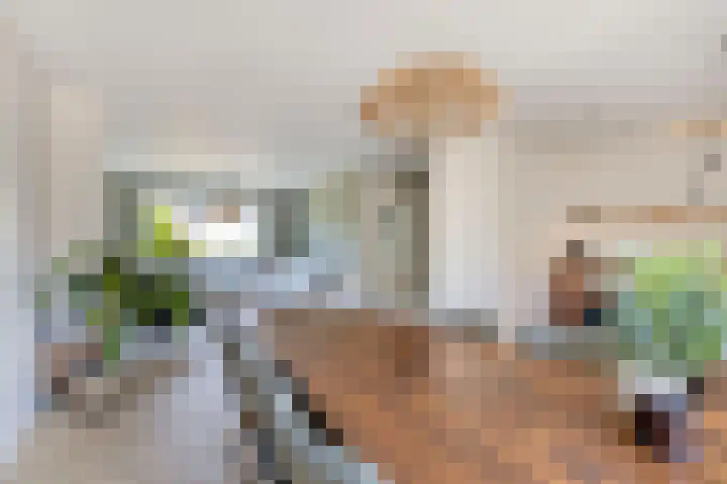 Buwitsacker 21 Castricum thumbnail 9