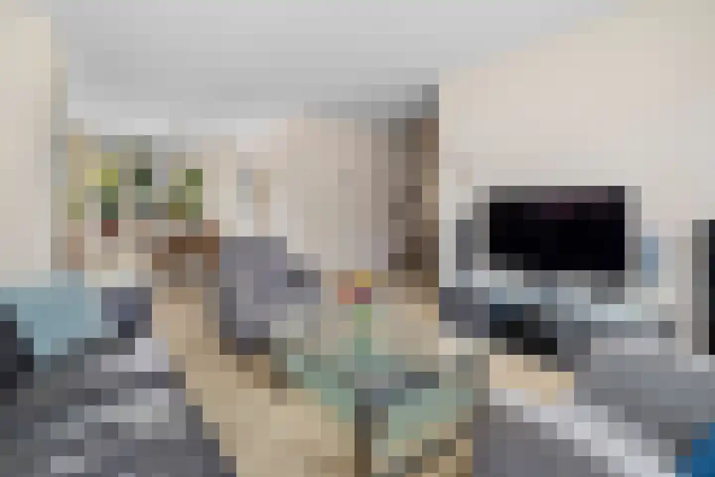 Buwitsacker 7 Castricum thumbnail 11