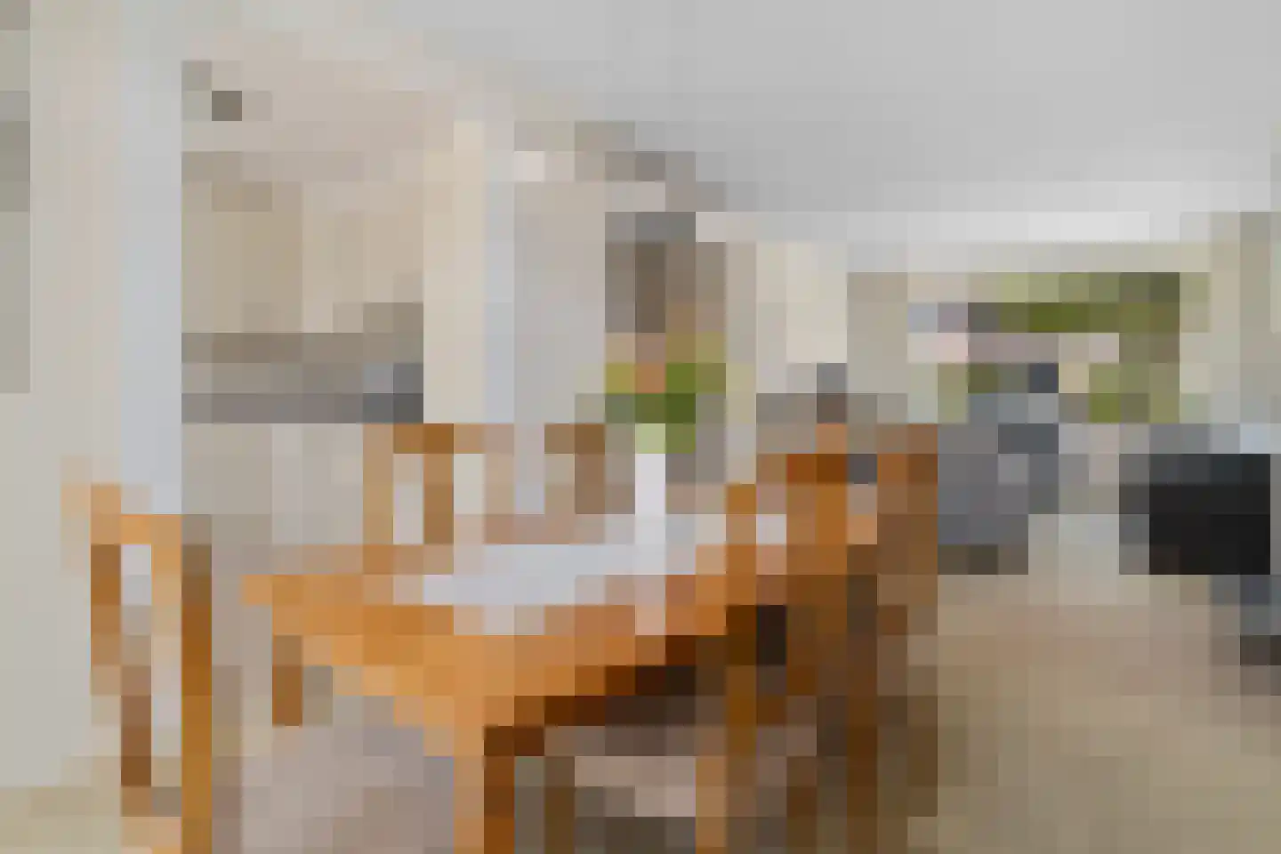 Buwitsacker 7 Castricum thumbnail 16