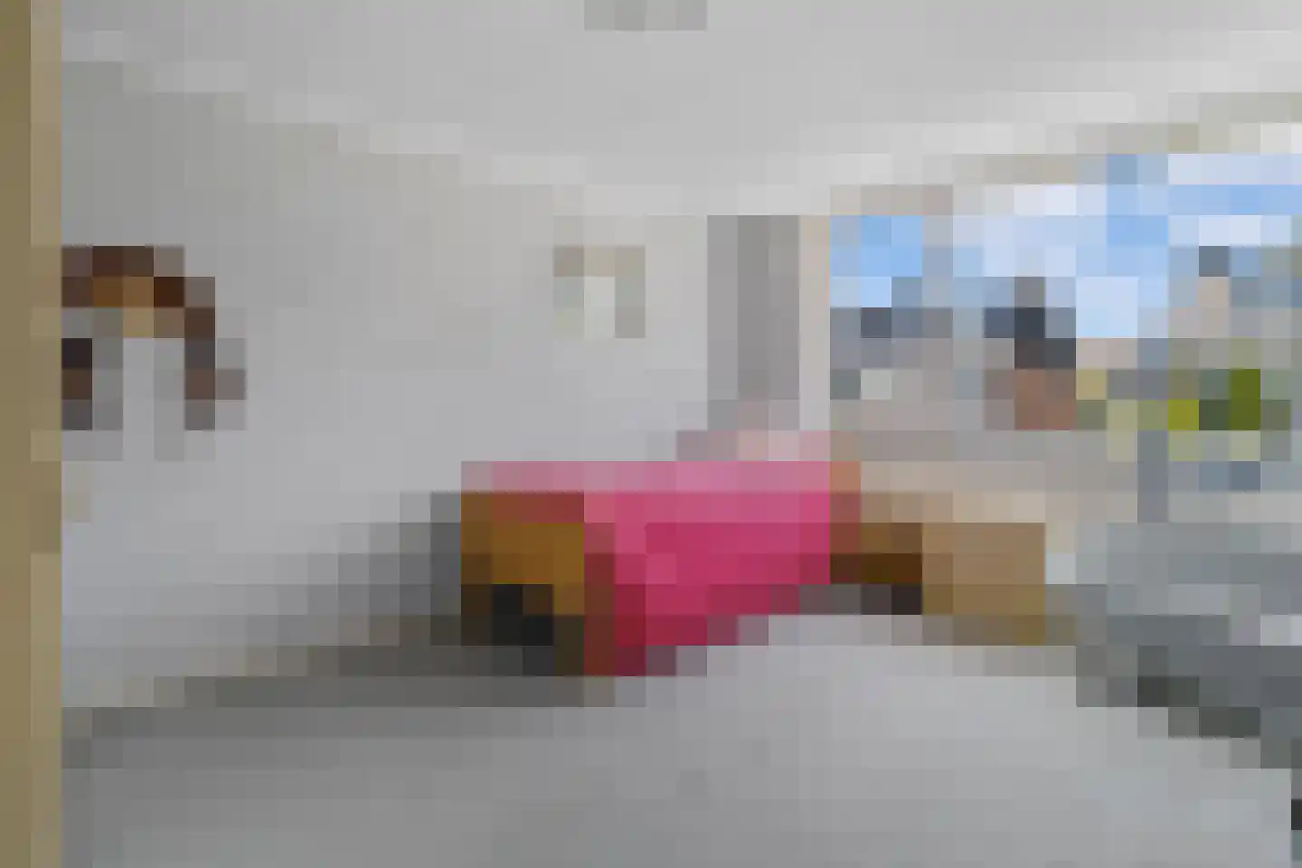 Buwitsacker 7 Castricum thumbnail 21