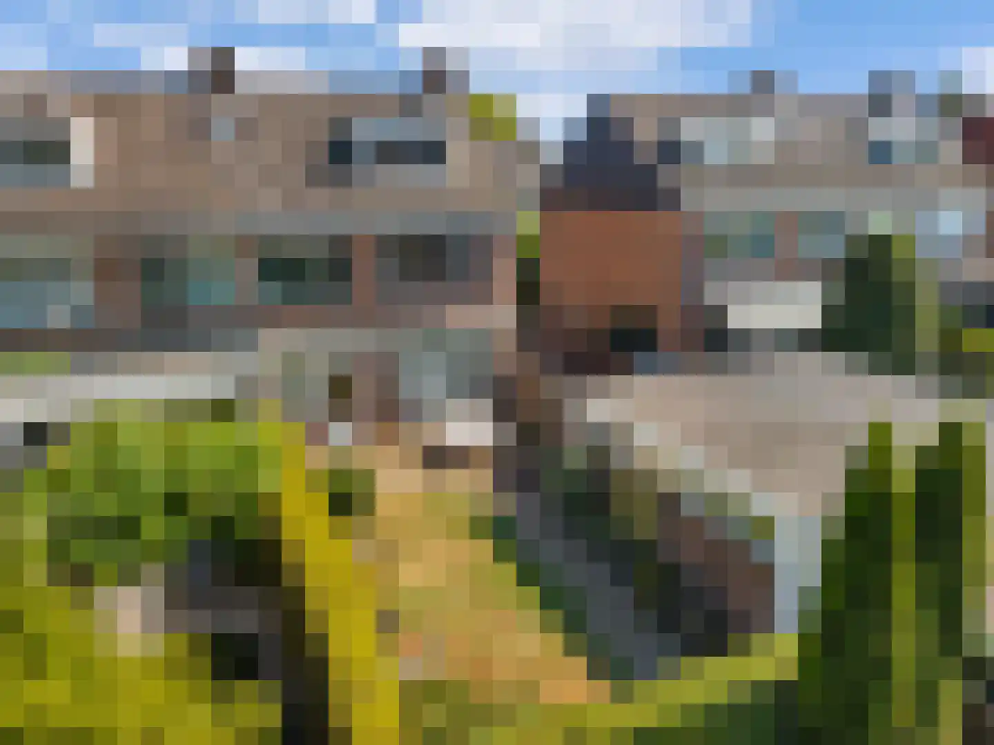 Buwitsacker 7 Castricum thumbnail 33
