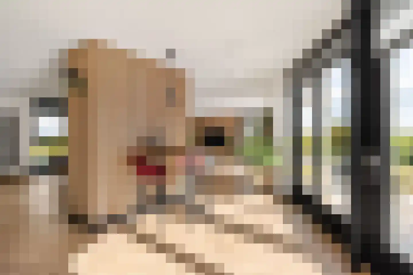 Buxtehudelaan 43 Nieuwegein thumbnail 14